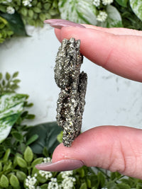 Raw Pyrite on Petrified Wood - #12