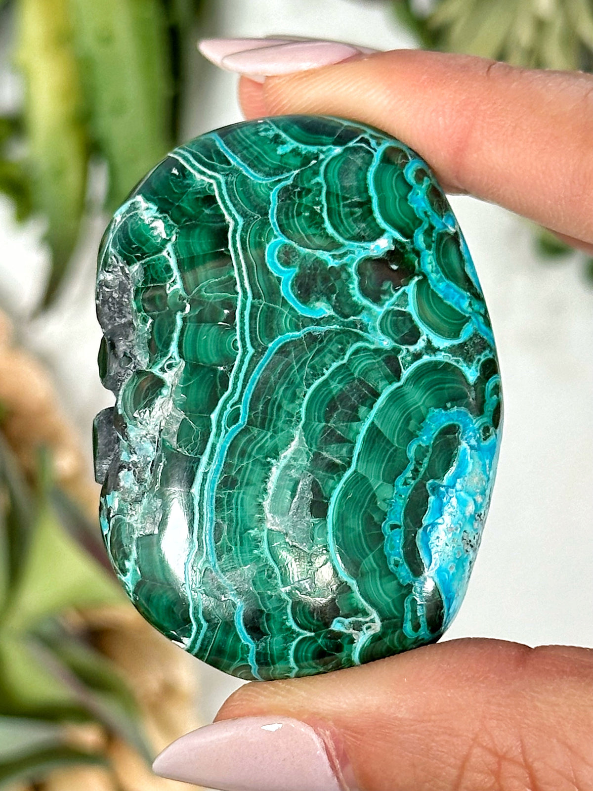 Chrysocolla Malachite Palmstone - #2