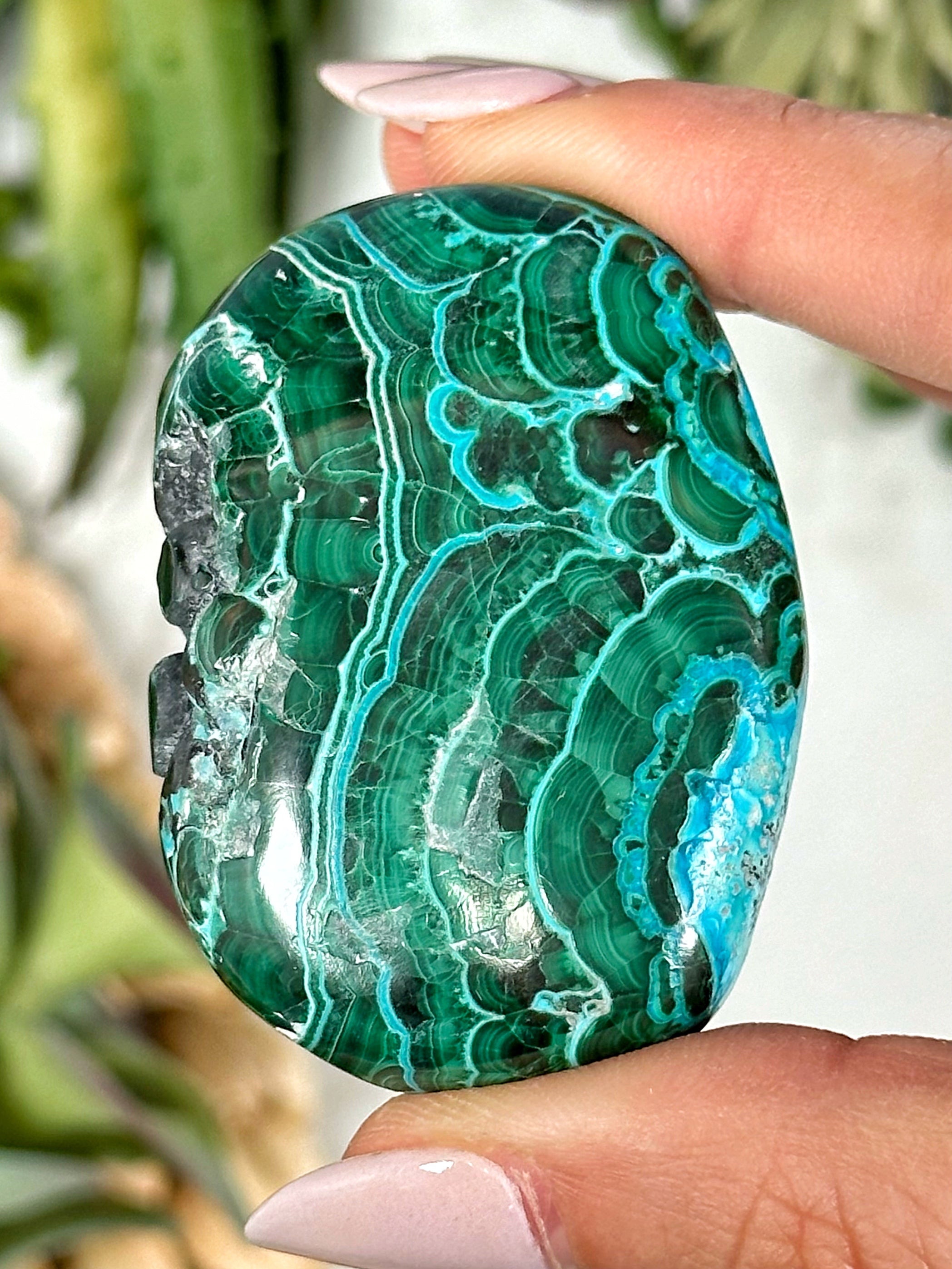 Chrysocolla Malachite Palmstone - #2