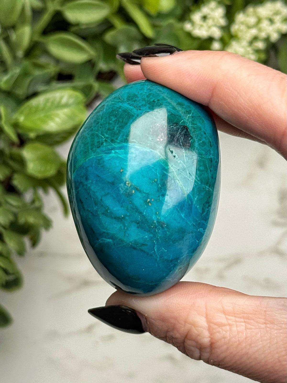 Chrysocolla Freeform - #25