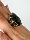 Labradorite Shaped into Ammonite Ring - #1
