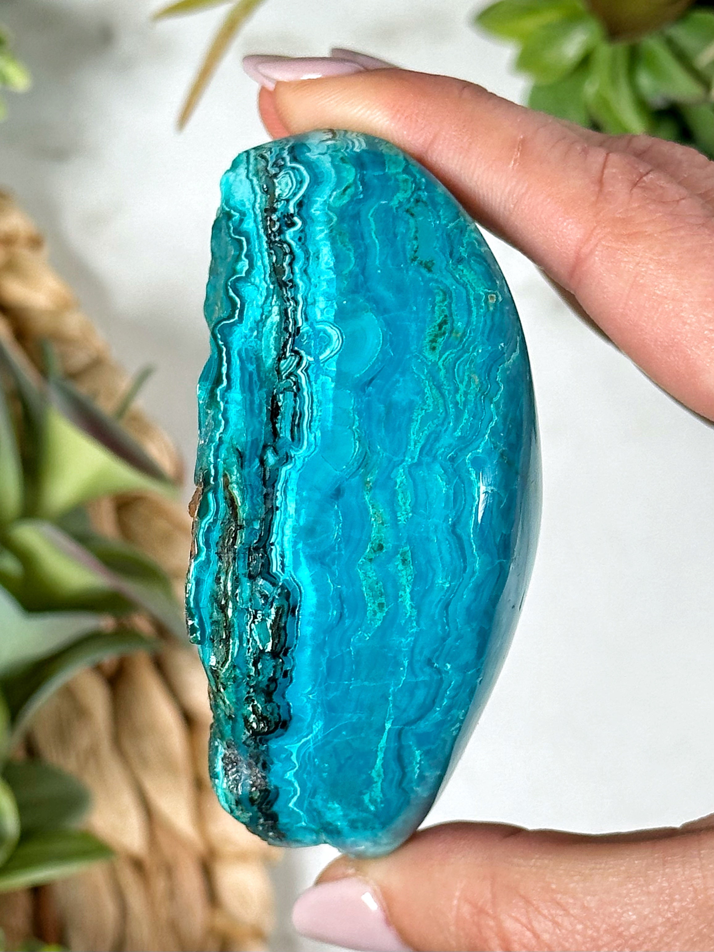 Chrysocolla Freeform - #1