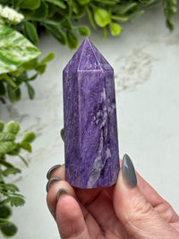 Charoite Point - #3