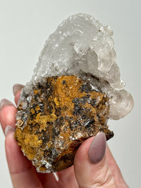 Selenite Ram's Horn - #1