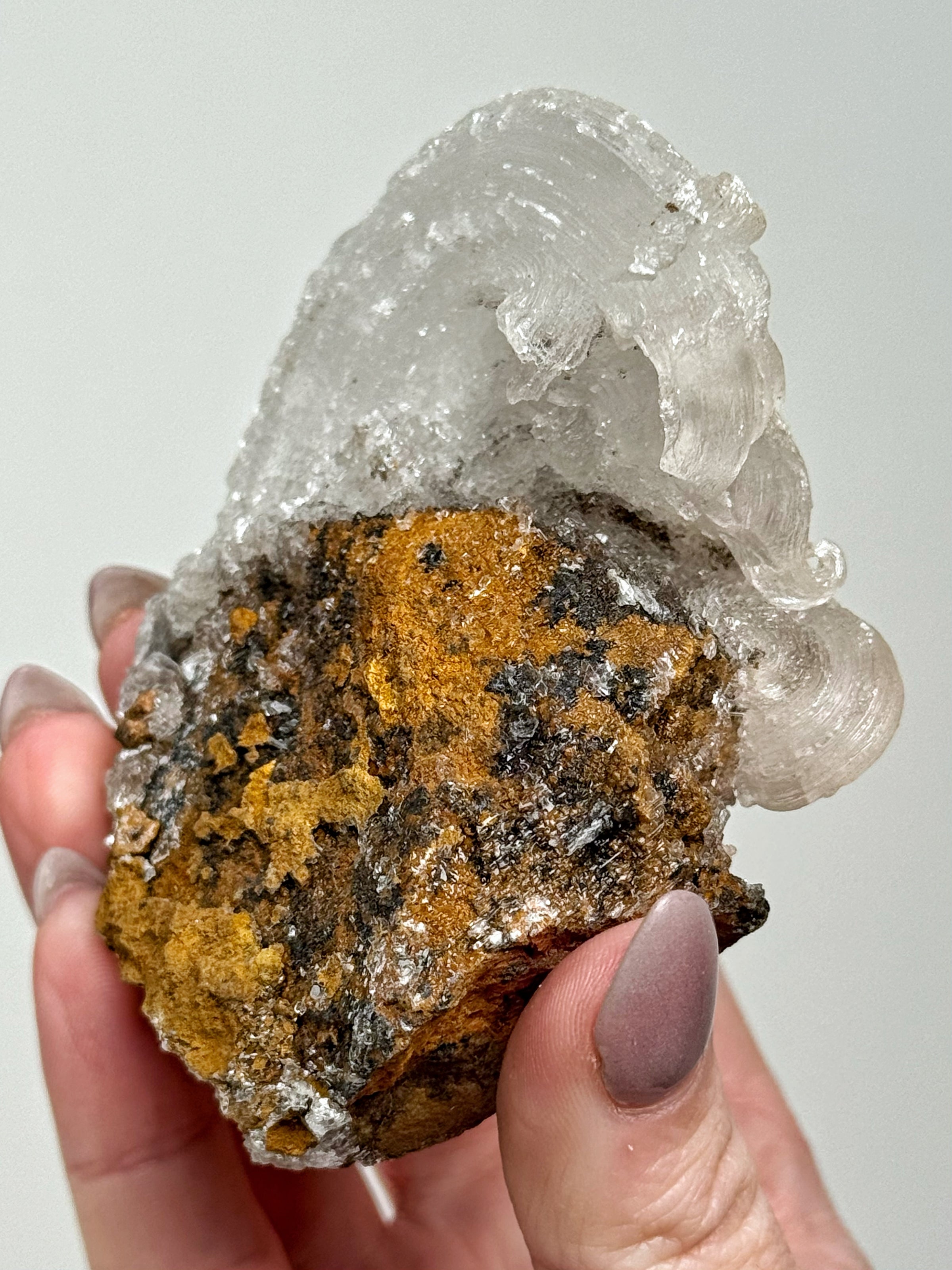 Selenite Ram's Horn - #1