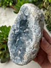 Raw Celestite - #7
