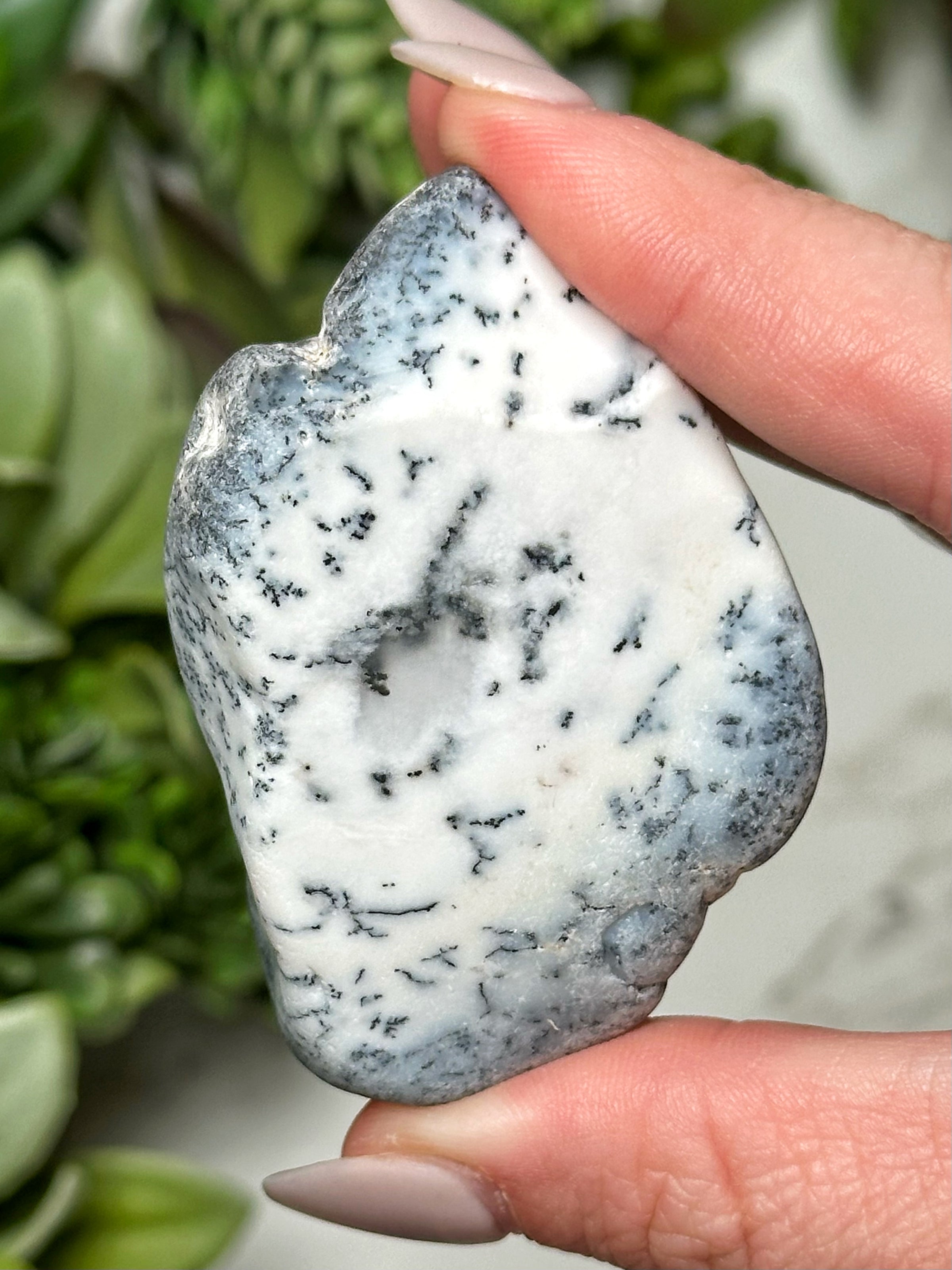 Dendritic Opal Freeform - #12