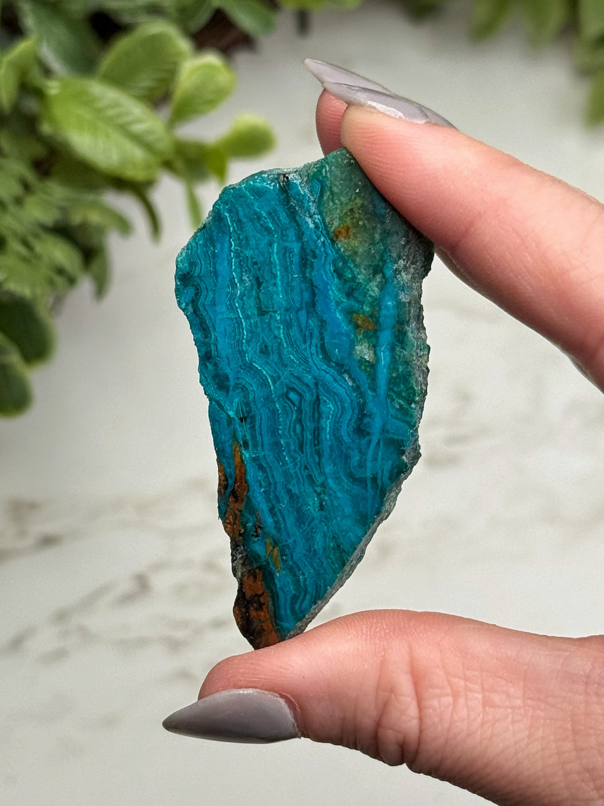 Chrysocolla Slab - #11