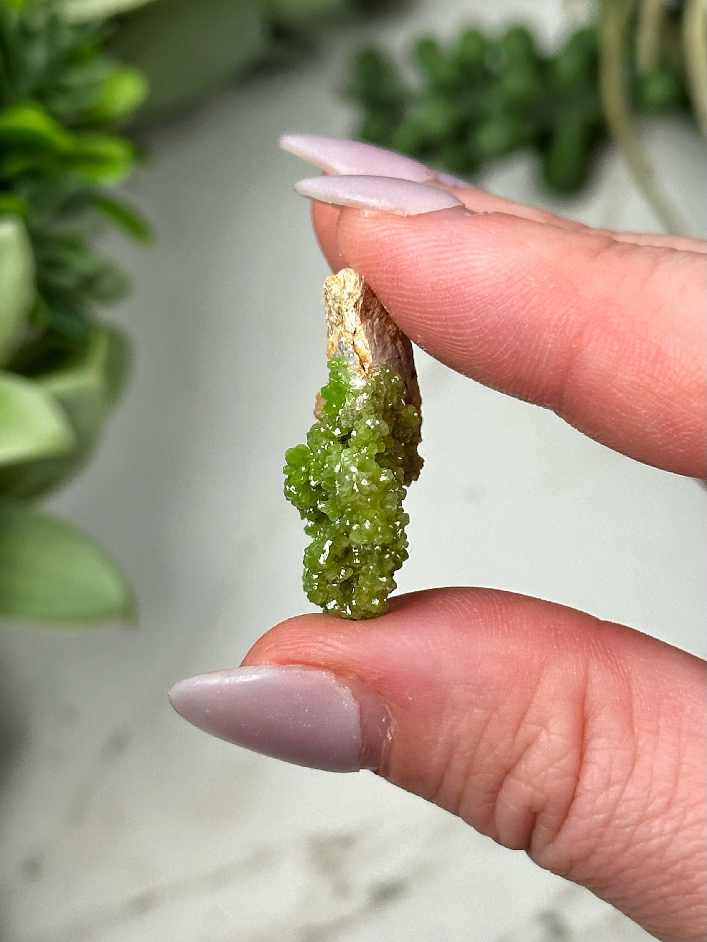 RARE Raw Pyromorphite - #12