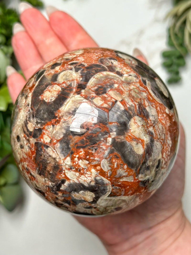 Money Agate Sphere - #5