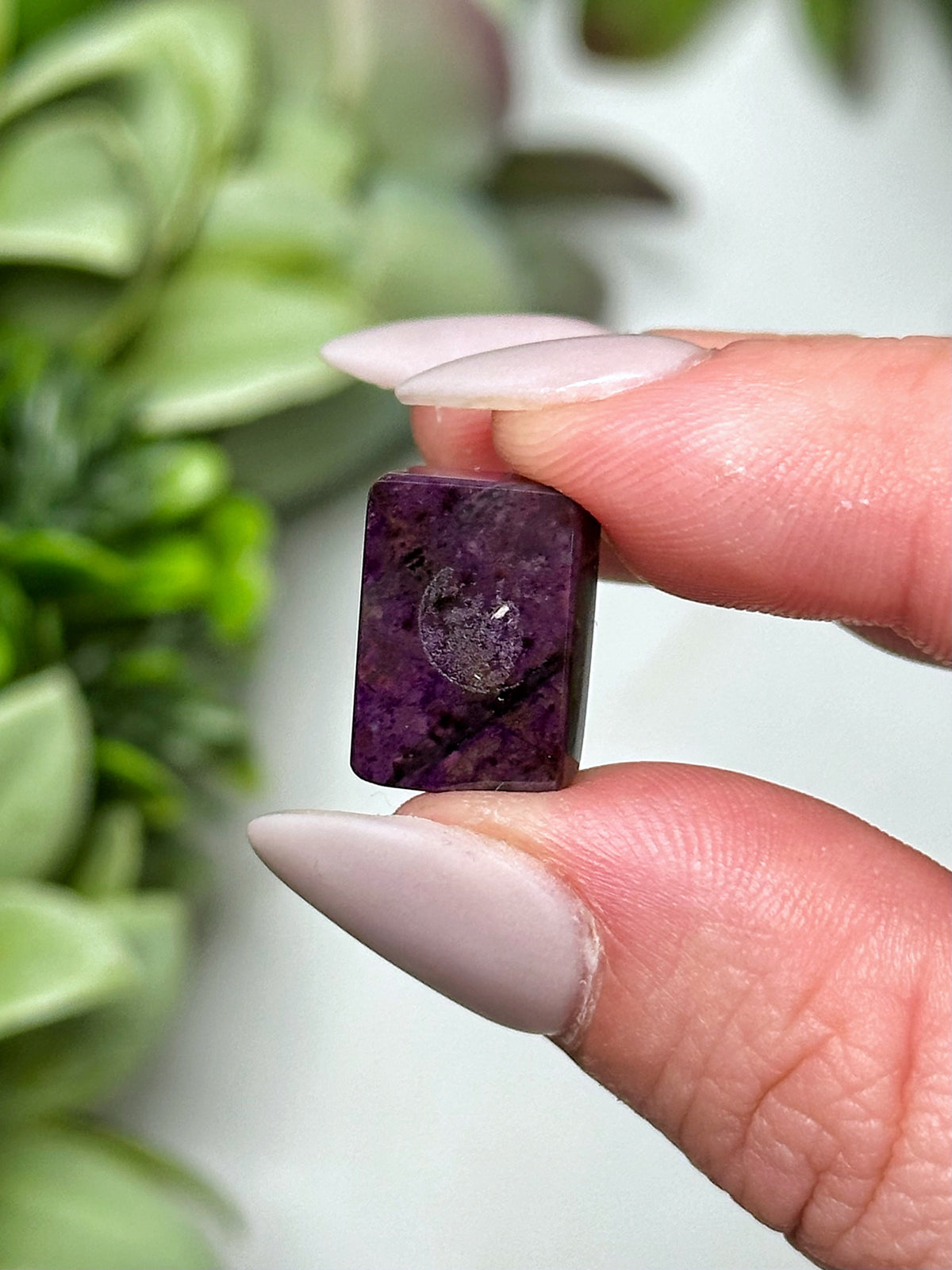 Sugilite Cabochon - #10