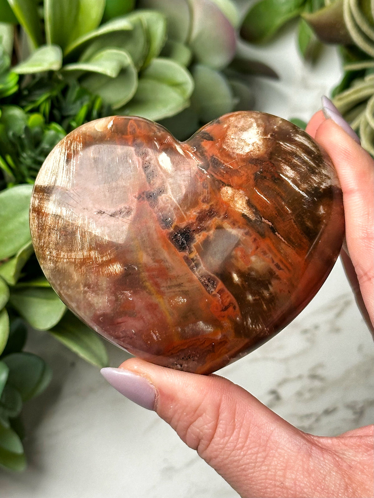 Petrified Wood Heart - #11