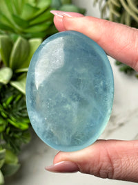 Aquamarine Palmstone - #5