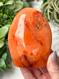 Carnelian Freeform - #19