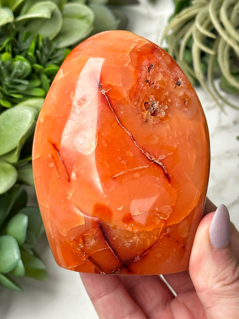 Carnelian Freeform - #19