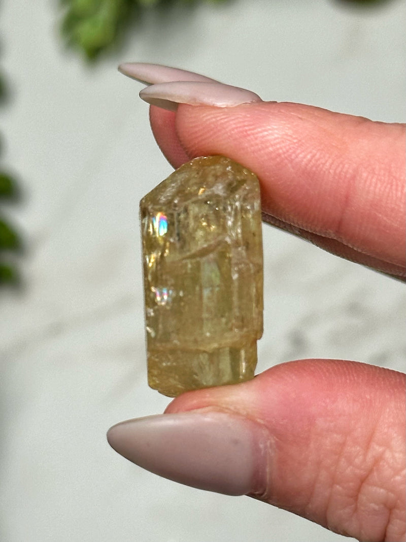 Yellow Apatite - #15