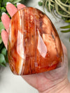 Carnelian Freeform - #13