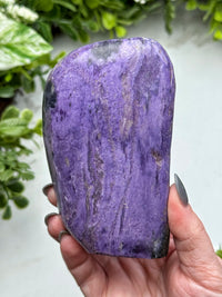 Charoite Freeform - #1