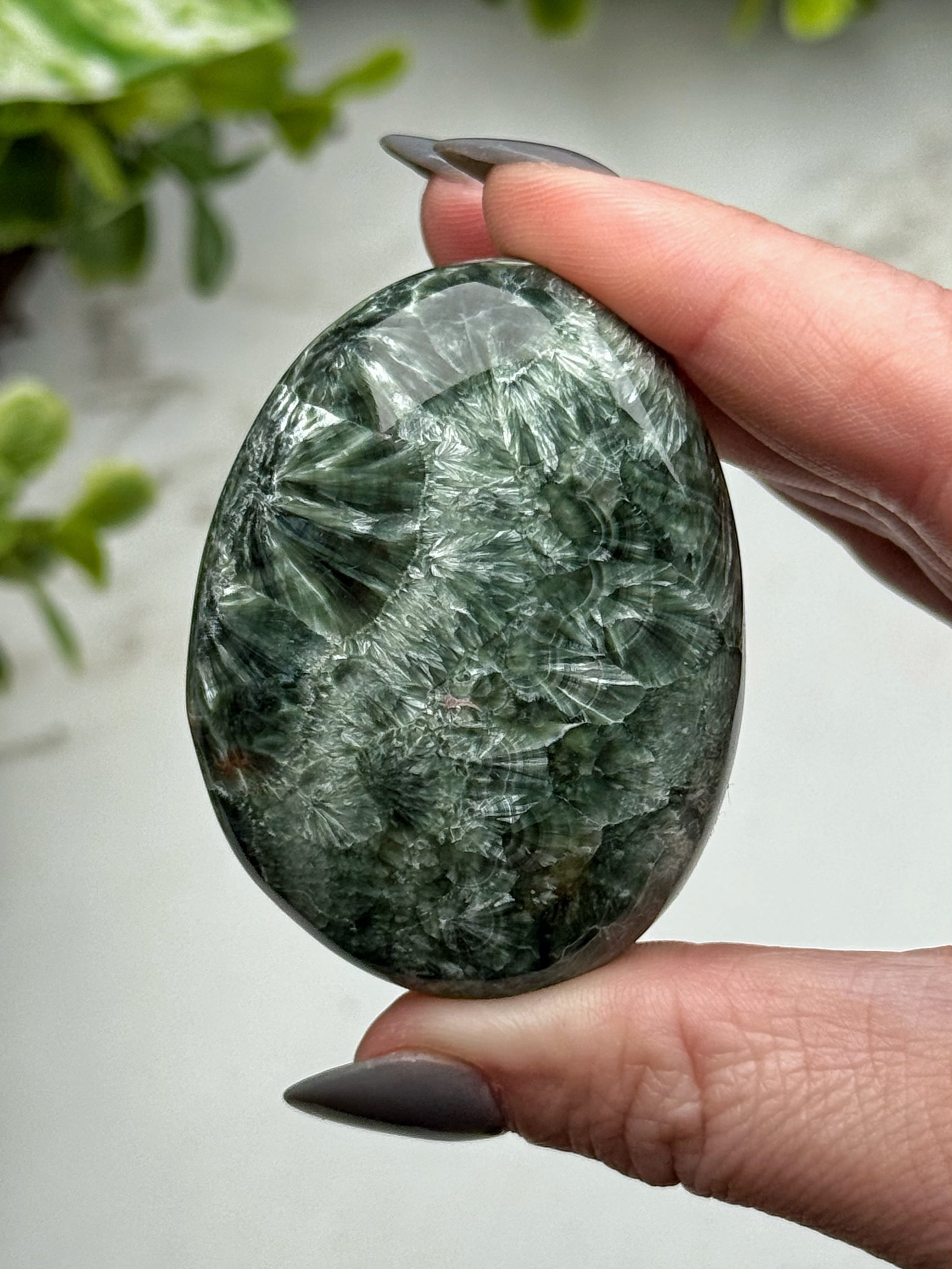 Seraphinite Palmstone - #1