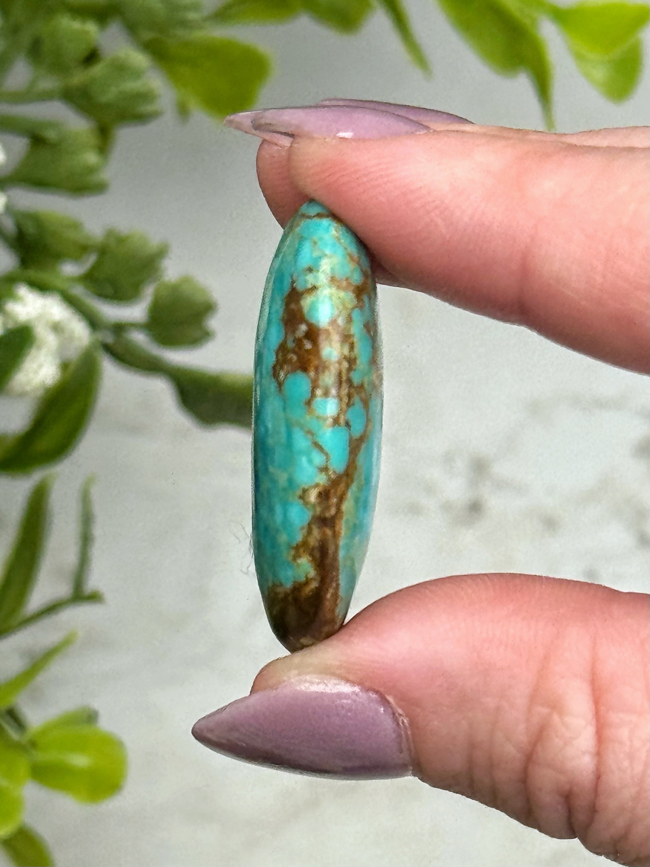 Turquoise Palmstone - #14