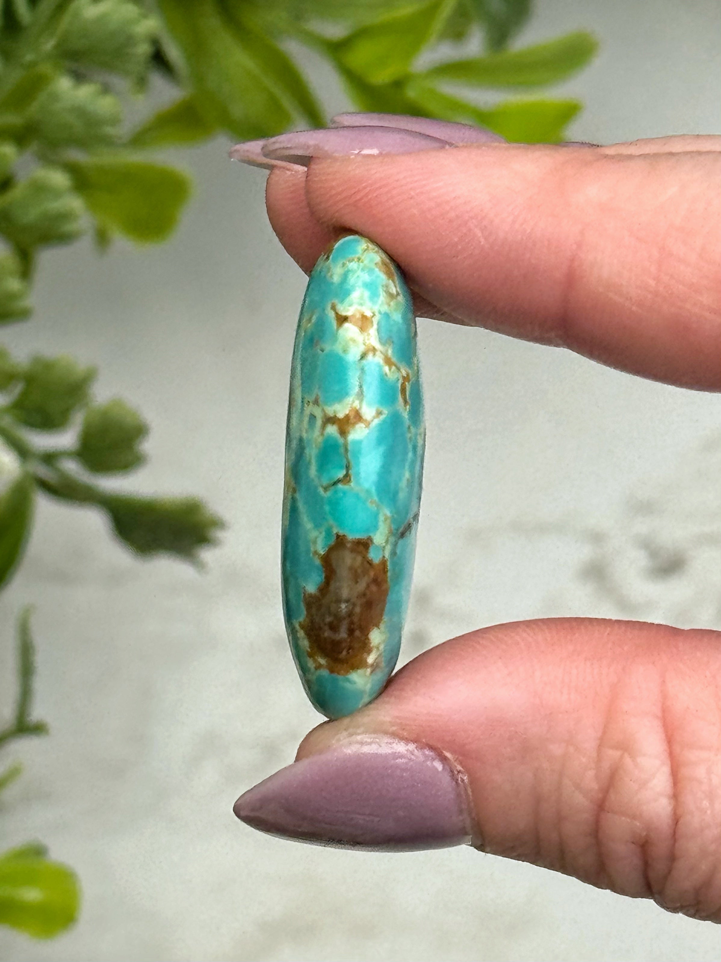 Turquoise Palmstone - #15