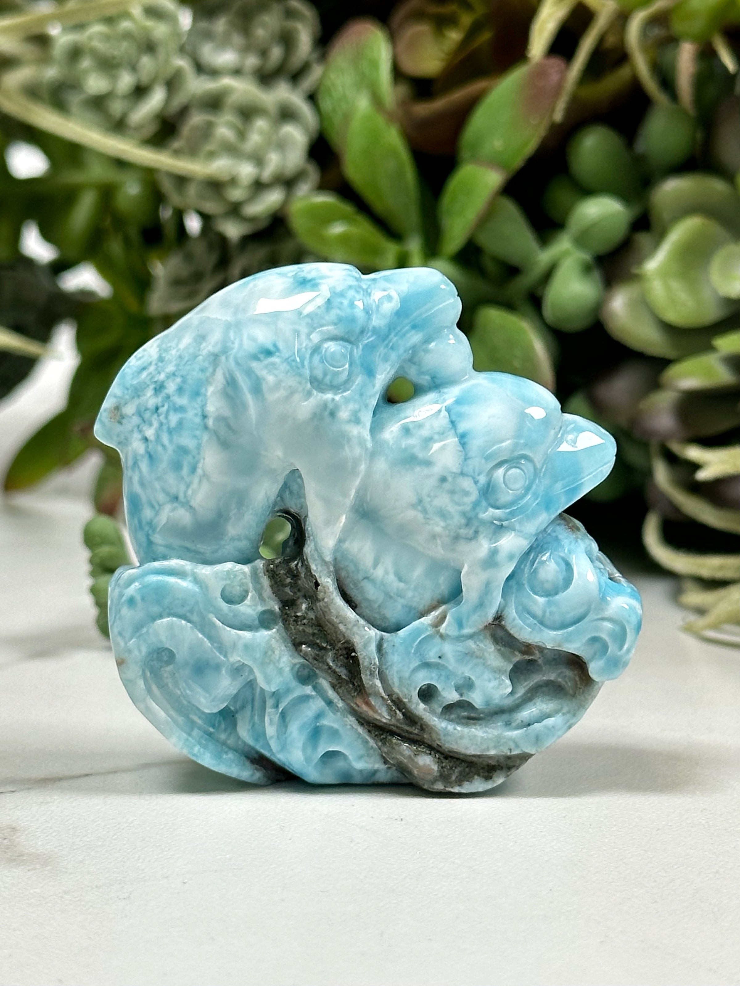 Larimar Dolphins - #1