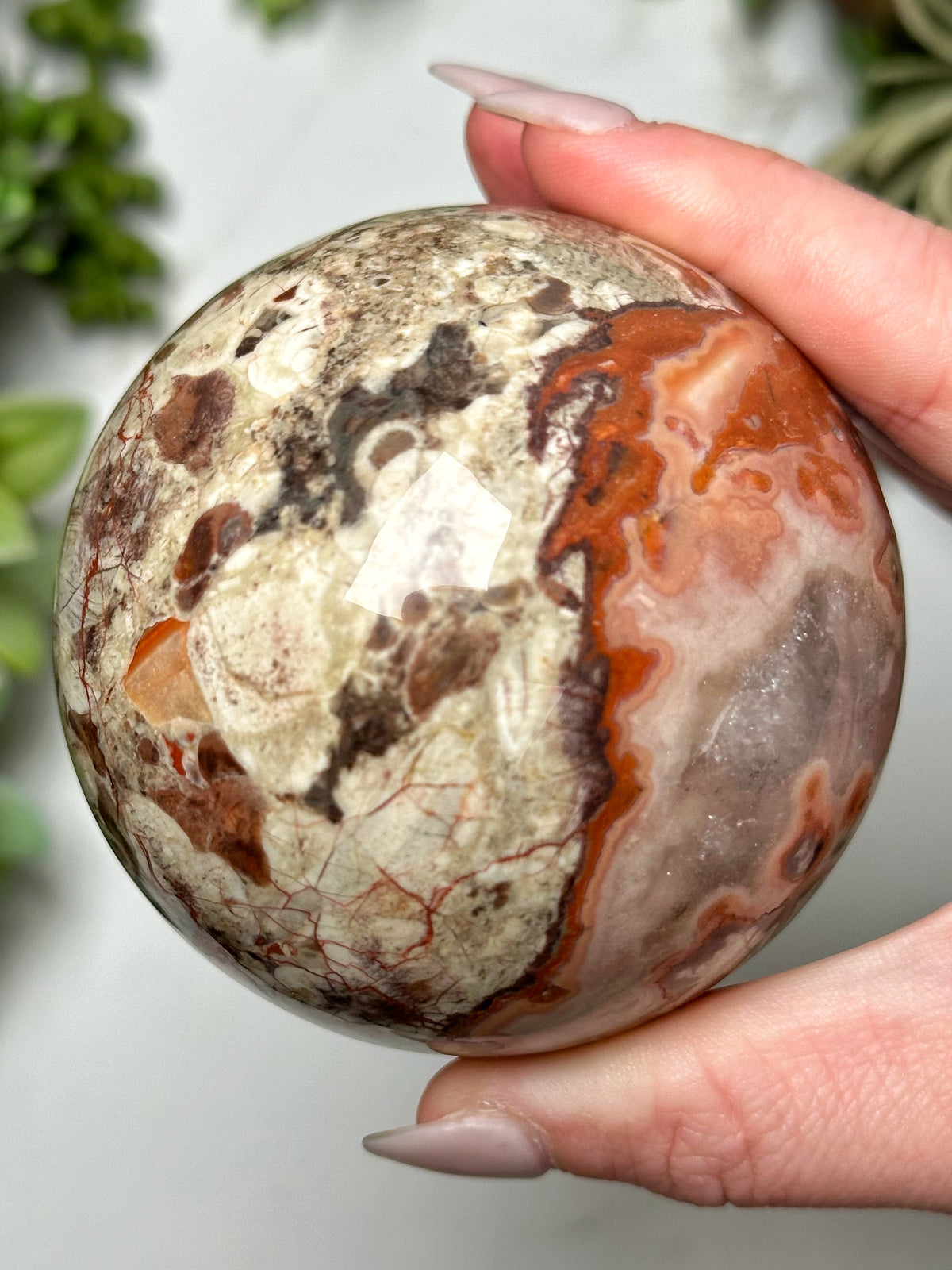 Money Agate Sphere - #6