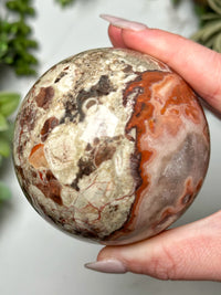 Money Agate Sphere - #6