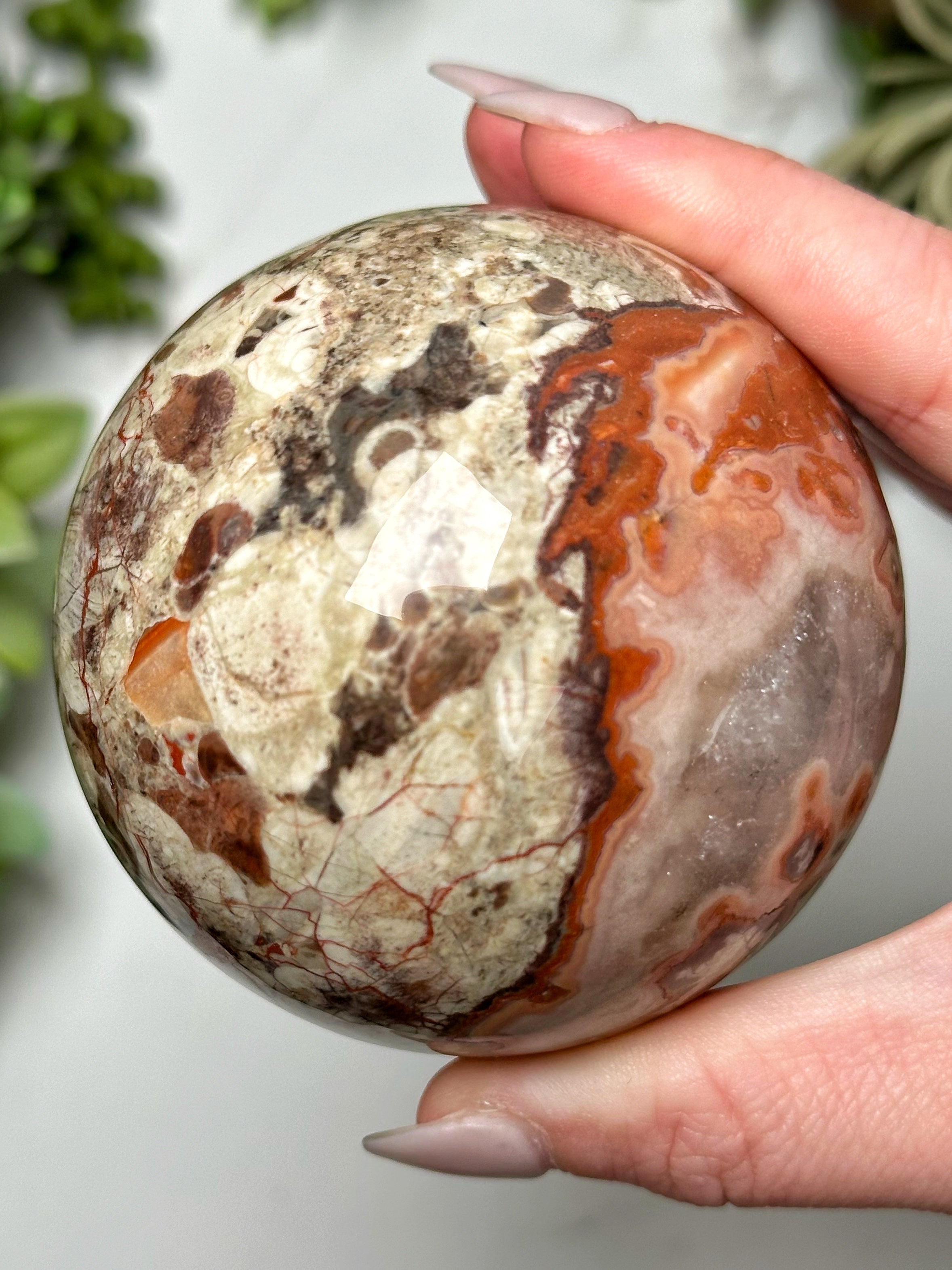 Money Agate Sphere - #6