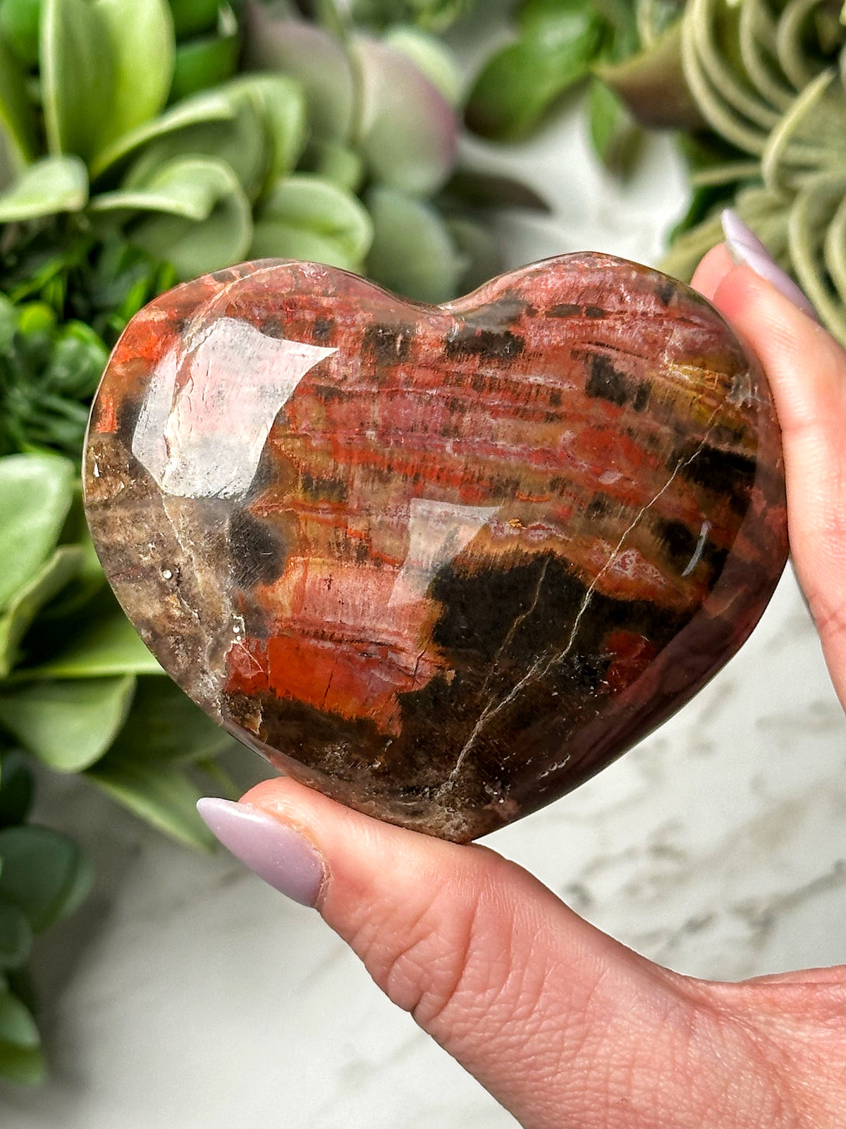 Petrified Wood Heart - #15