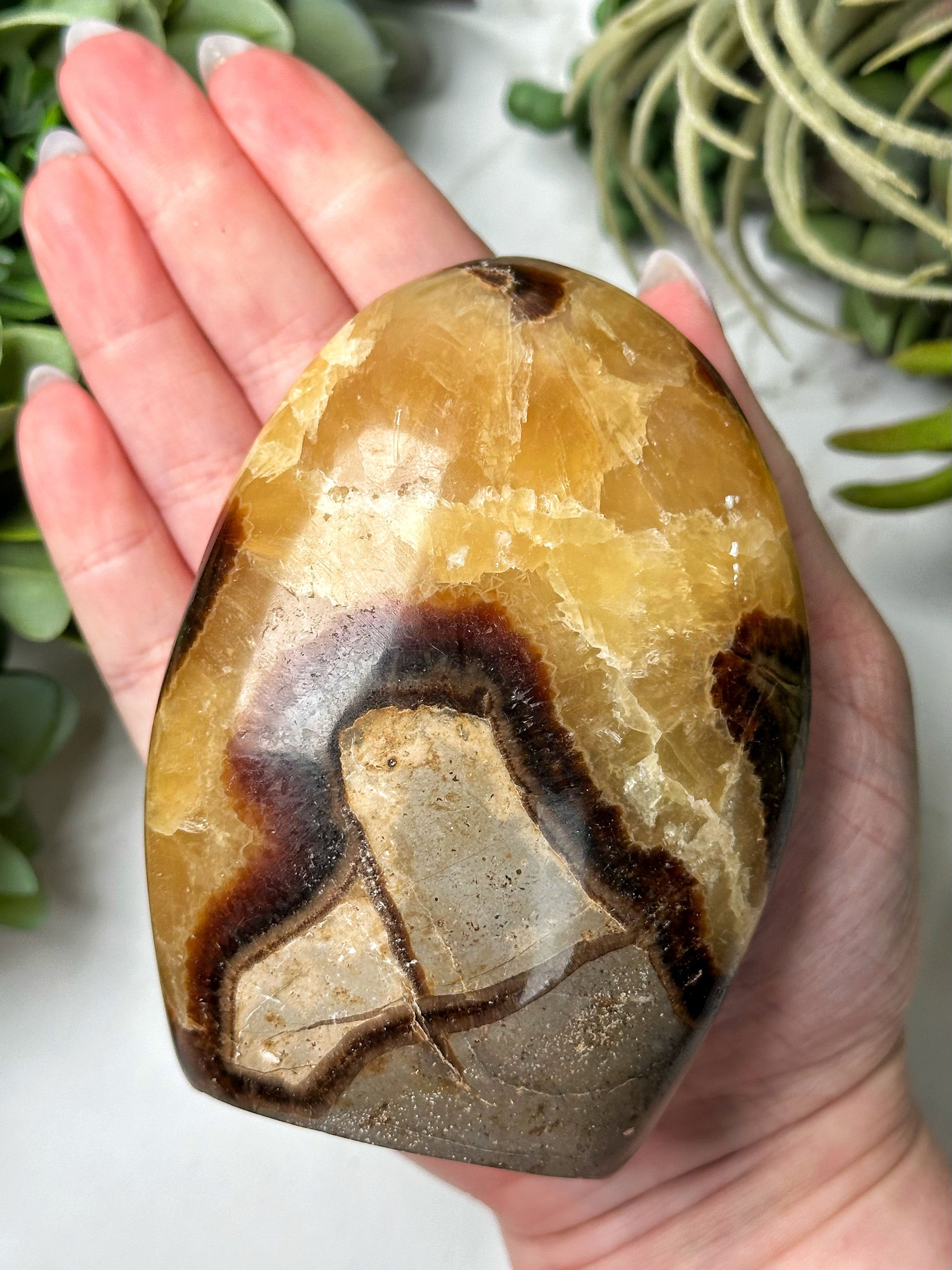 Septarian Freeform - #18