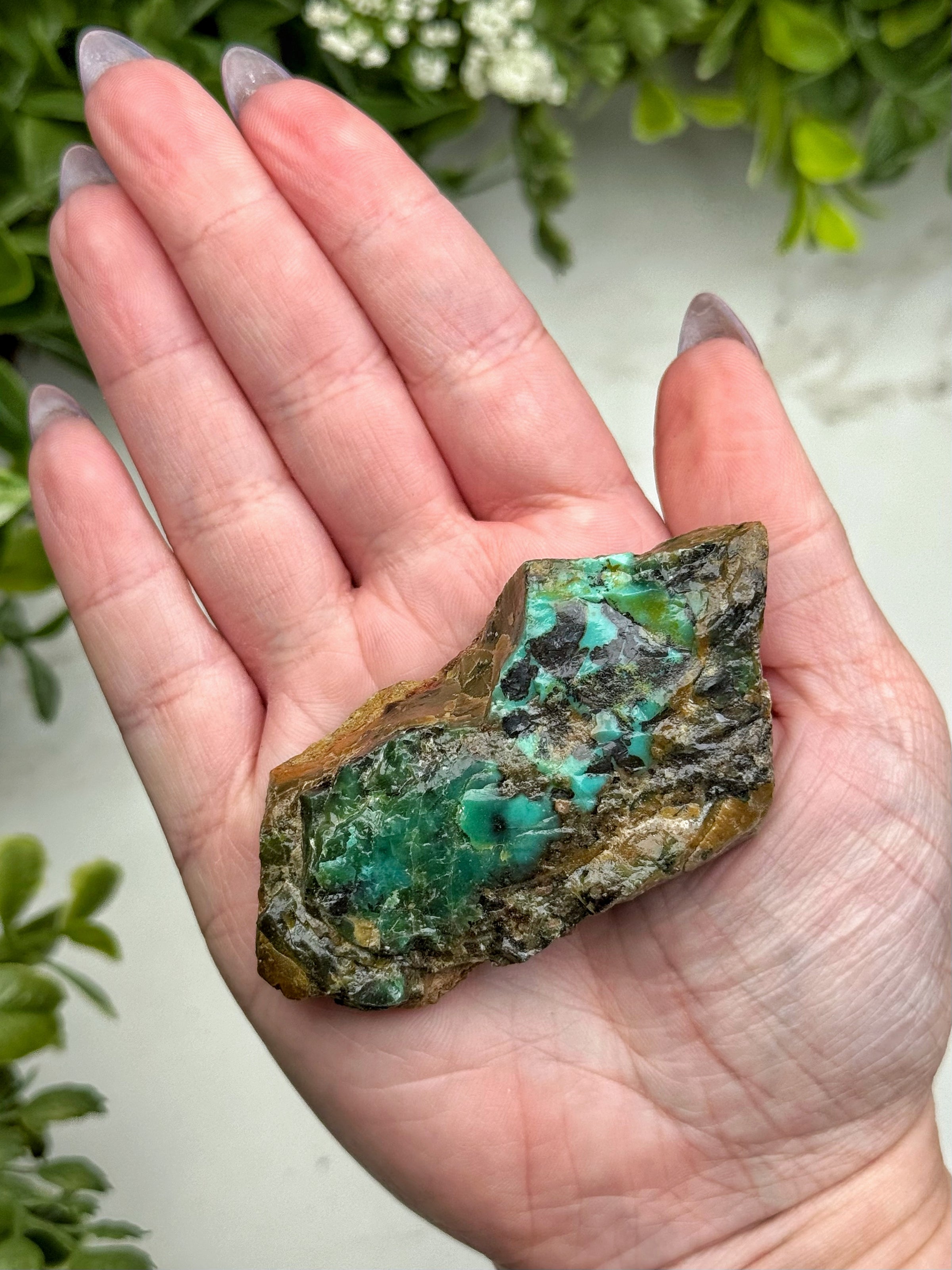 Raw Blue Opalized Petrified Wood - #13