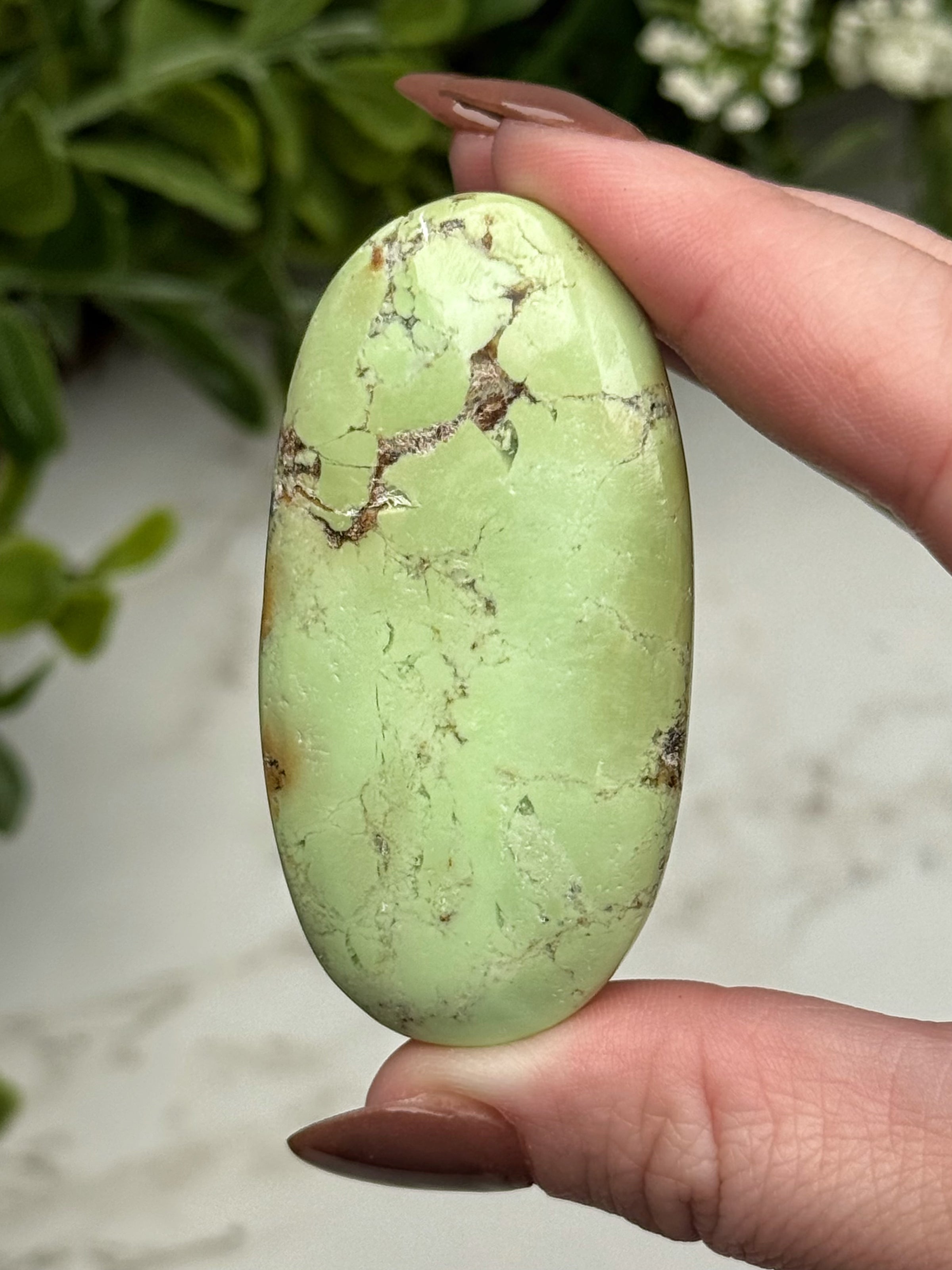 Chrysoprase Palmstone - #3