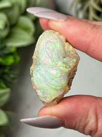 Rainbow Welo Opal Dragon - #1