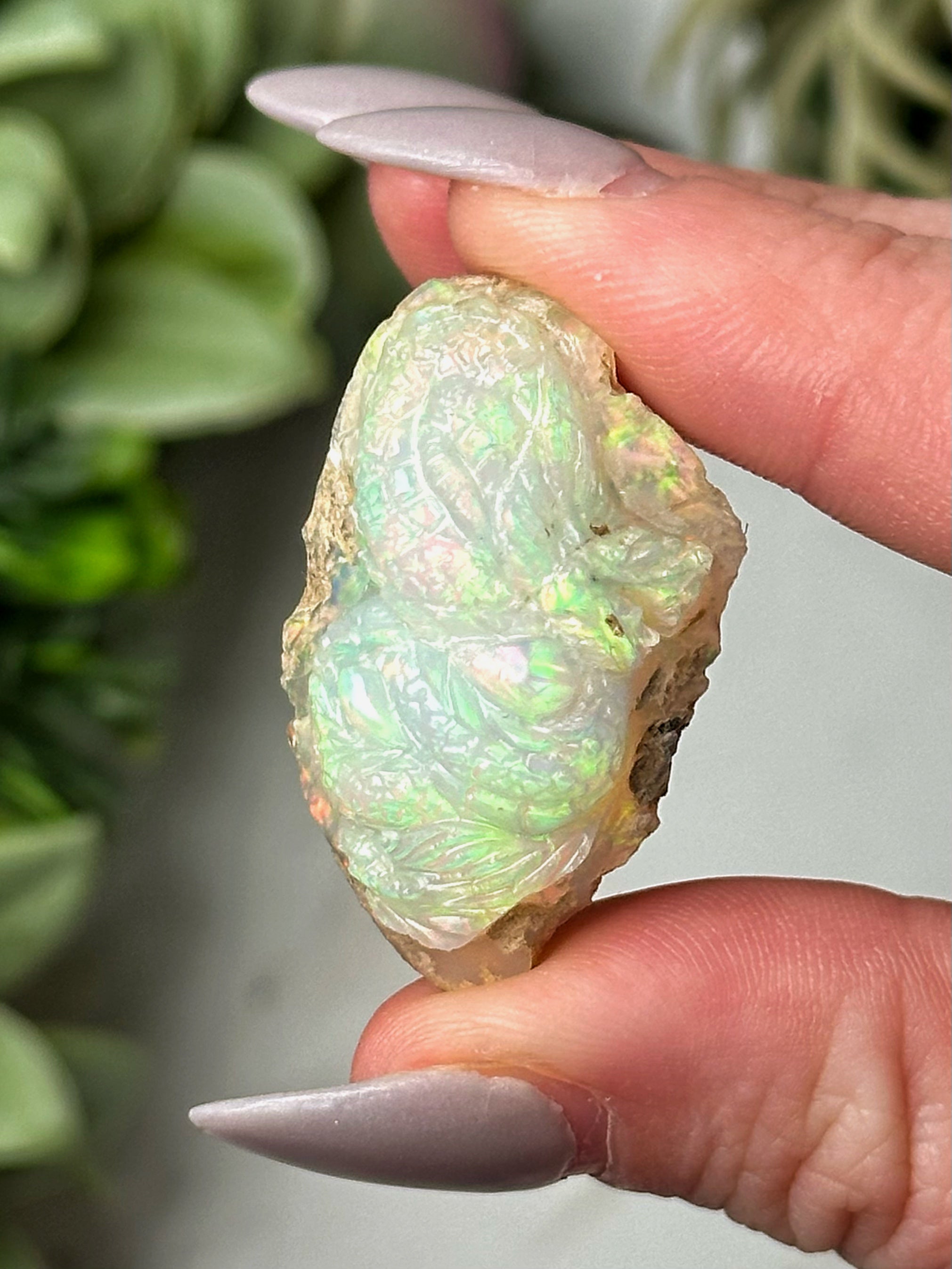 Rainbow Welo Opal Dragon - #1