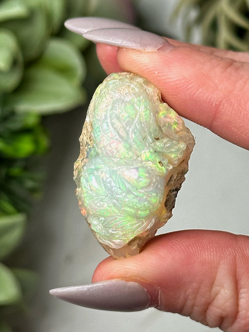 Rainbow Welo Opal Dragon - #1