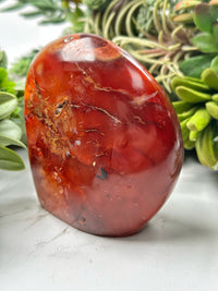 Carnelian Freeform - #14