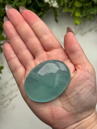 Aquamarine Palmstone - #12