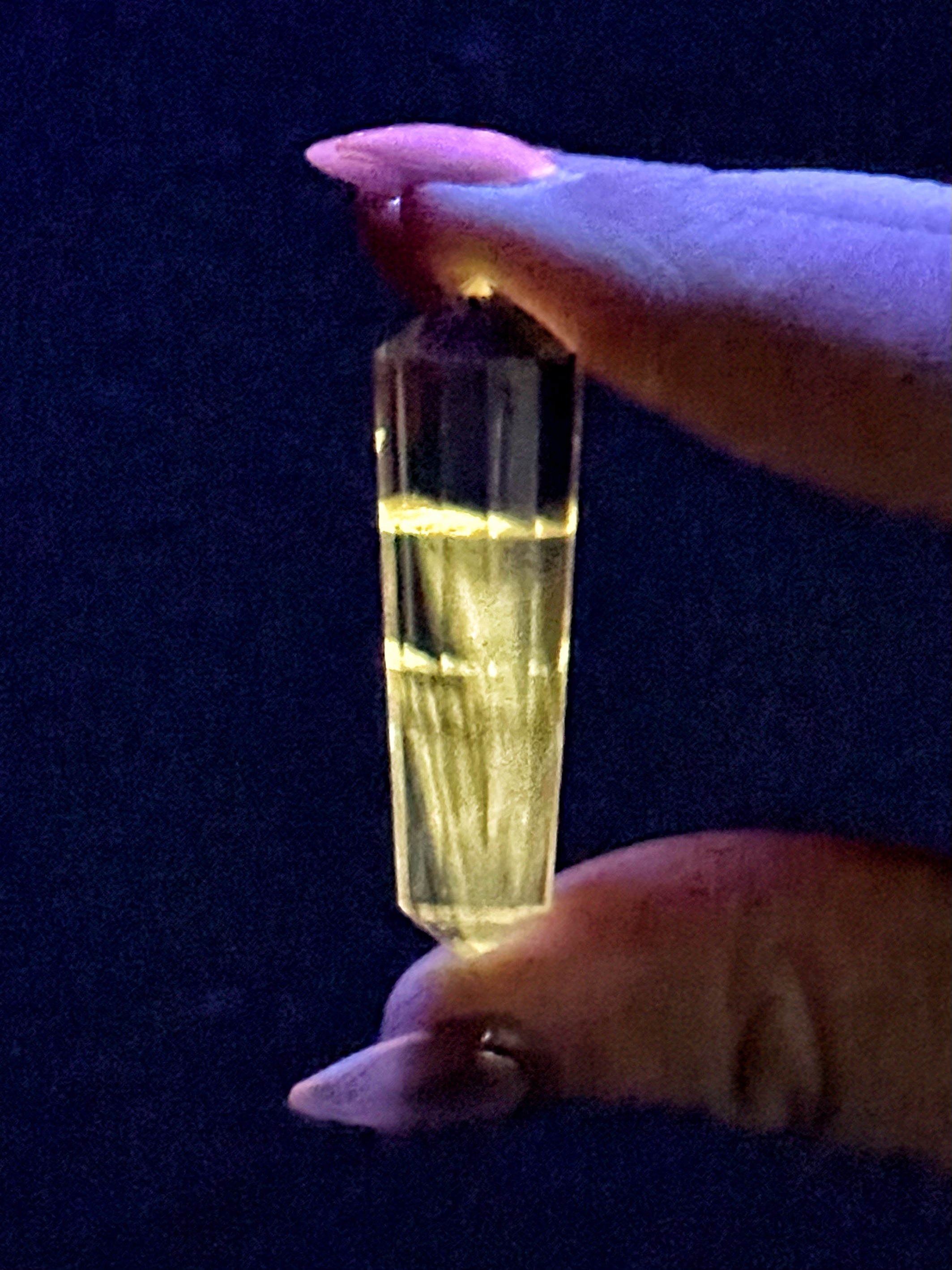 UV Reactive Amethyst Vogel - #1