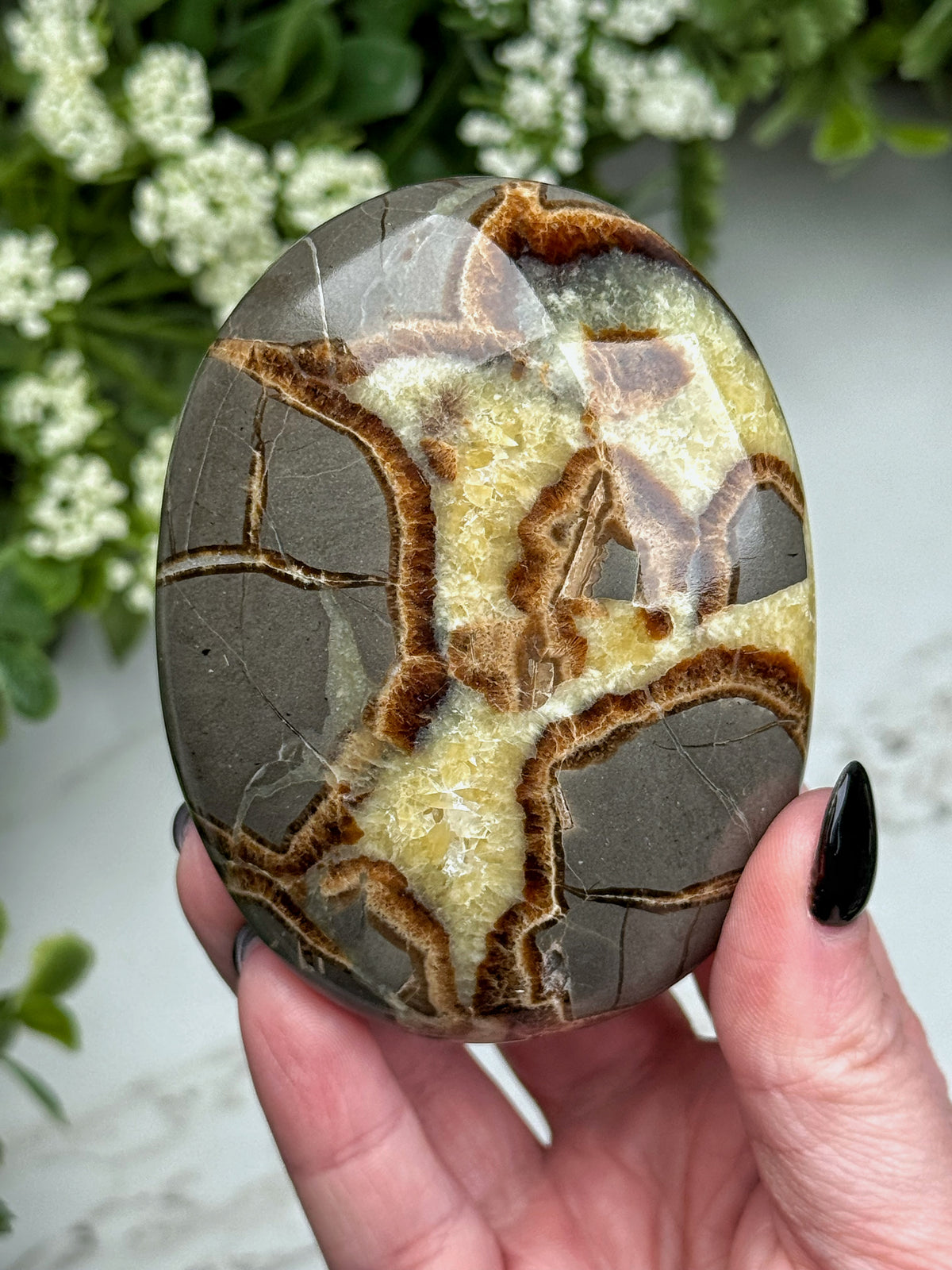 Septarian Palmstone - #2