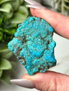 Turquoise Dragon - #1