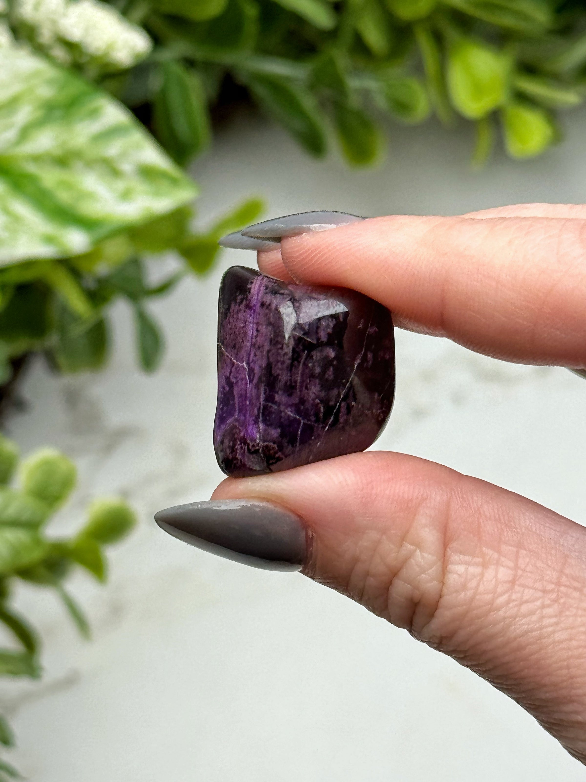 Sugilite Mini Freeform - #3
