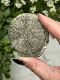 Pyrite Sun - #13
