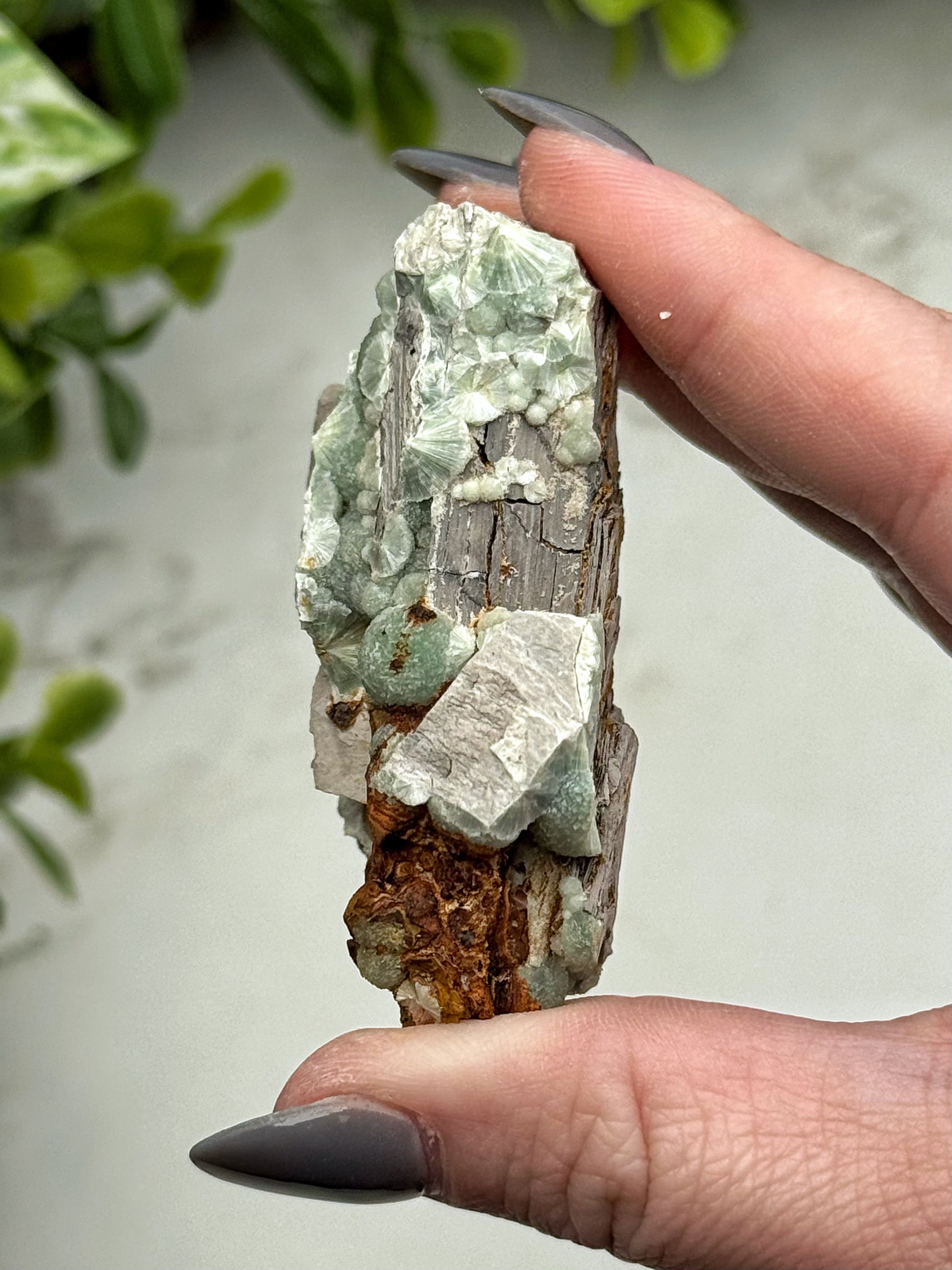 Wavellite - #13