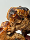 High Quality Amber Lion -#1