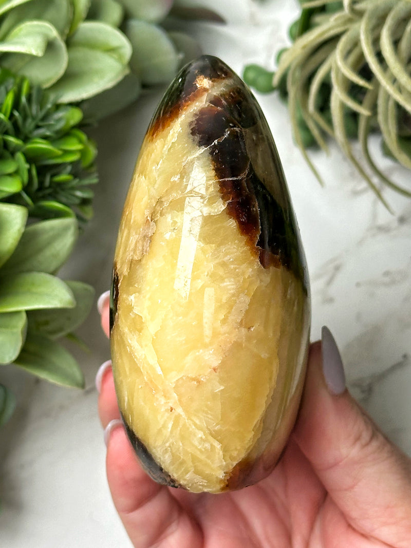 Septarian Freeform - #15