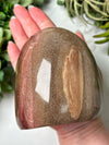 Petrified Wood Freeform - #12