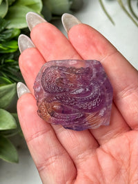 Ametrine Dragon - #3