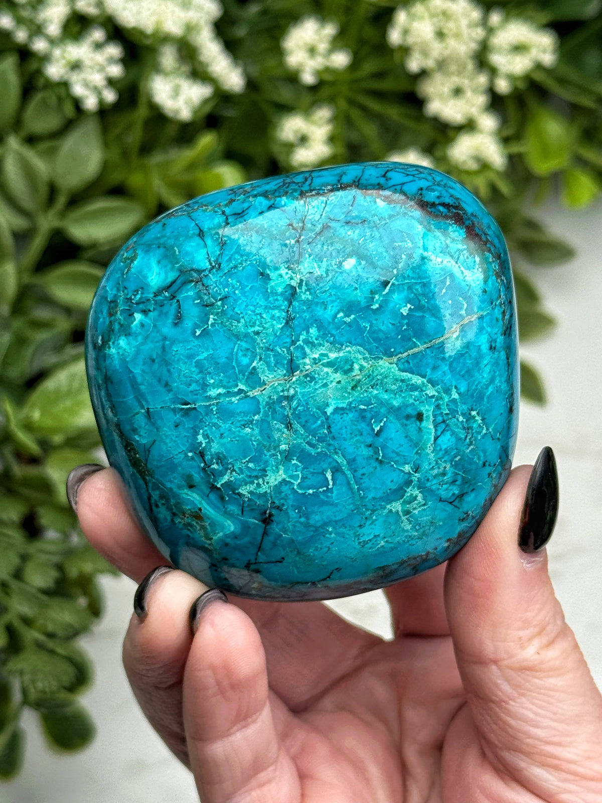 Chrysocolla Palmstone - #19