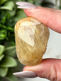 Golden Rutilated Quartz Dragon - #2